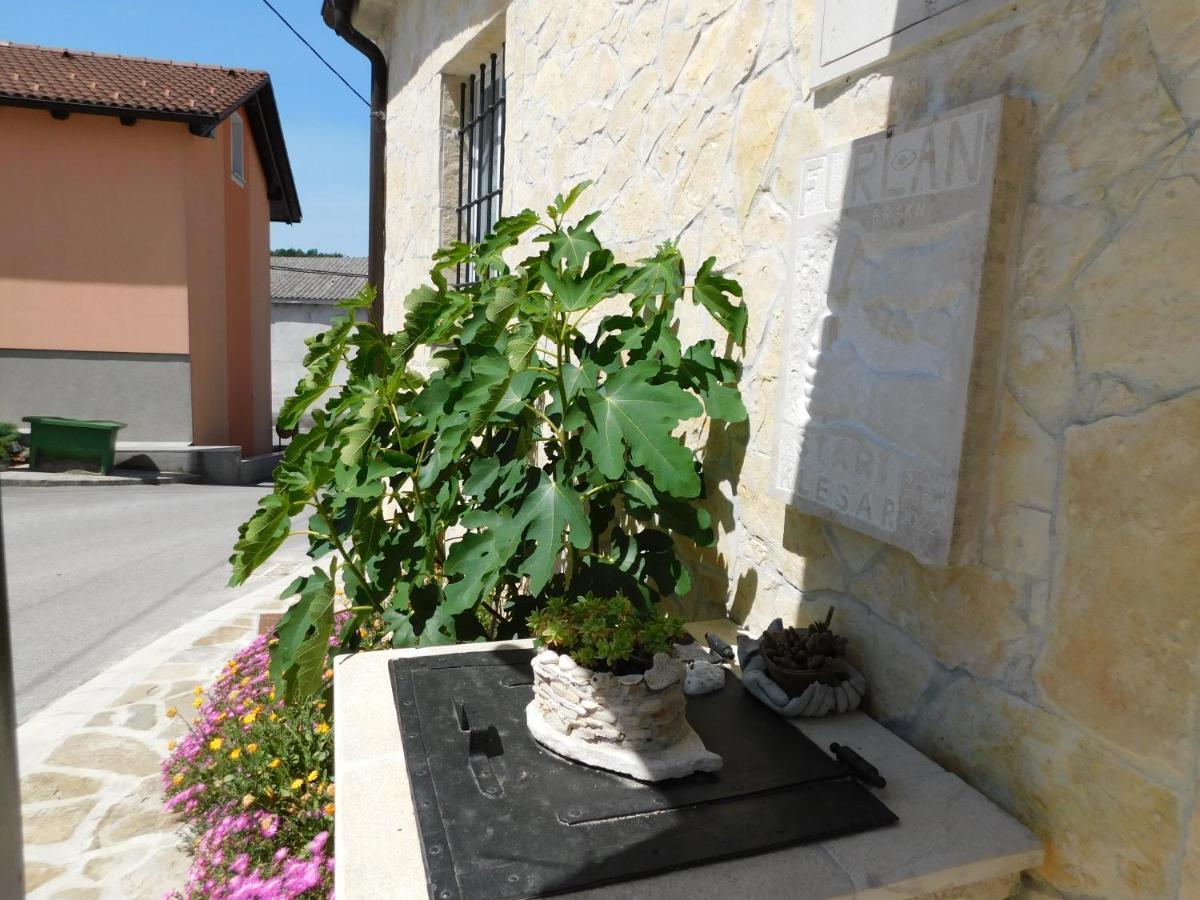 Villa Kamnita Hisa Stari Klesar Ilirska Bistrica Esterno foto
